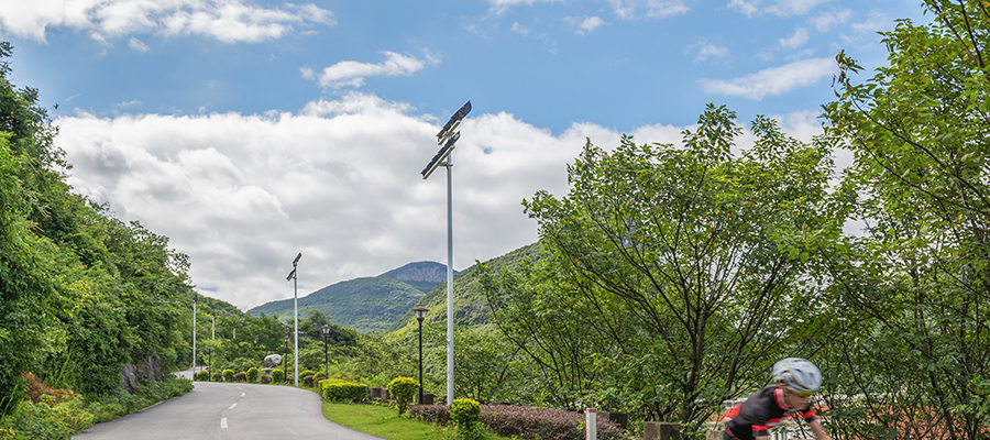 solar panel street light