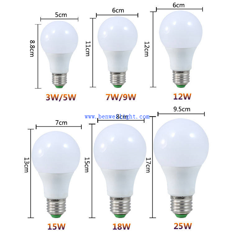 main picture-detailed images main picture-detailed images