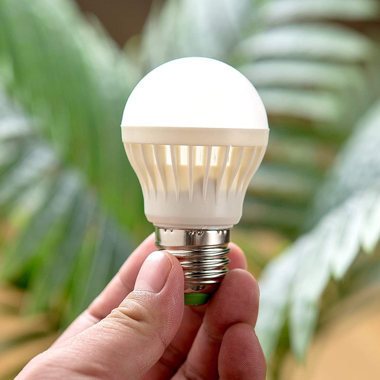 6v 6w bulb application1 6v 6w bulb application1