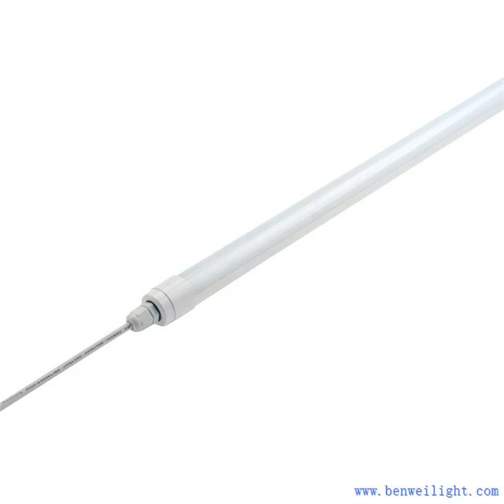 Hühner brauchen UV-Licht