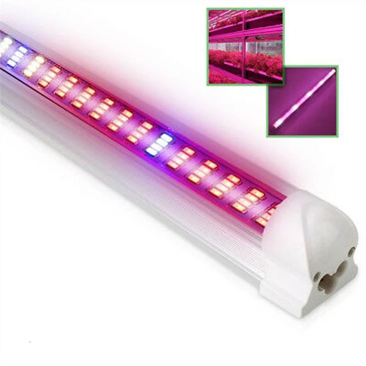 Wachsen Sie Licht zu Hause Depot