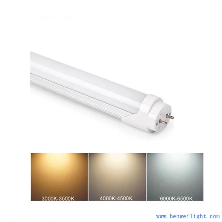 Cool White T8 LED-Röhre