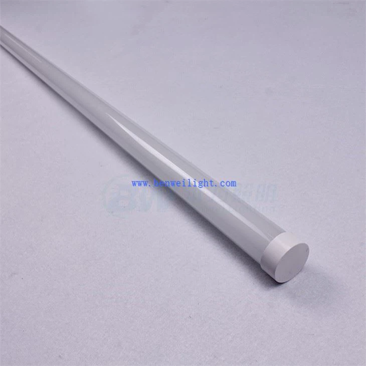 chicken brooder light