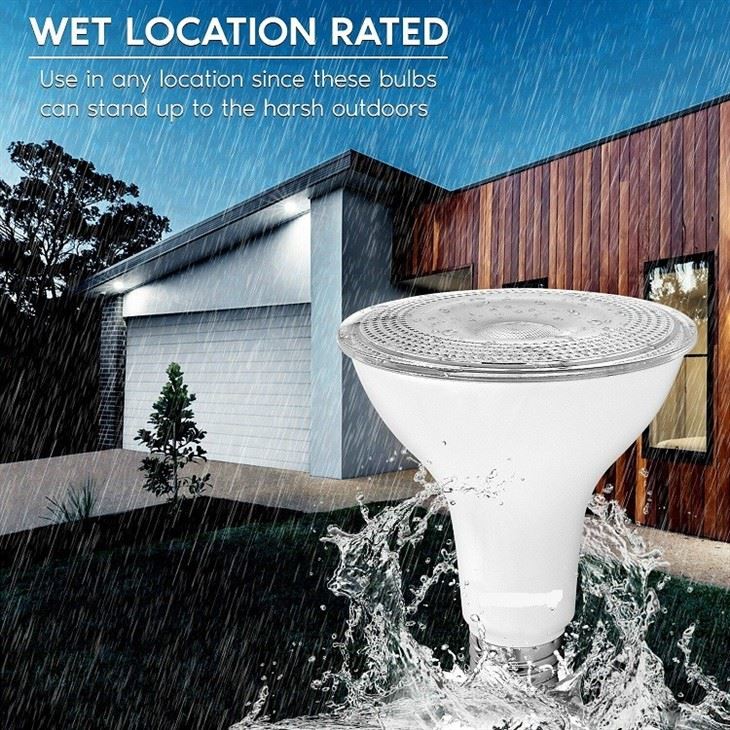PAR30 Flood Light Bulb 1
