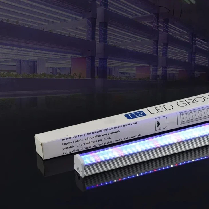 T12 Wachstumslichtröhre