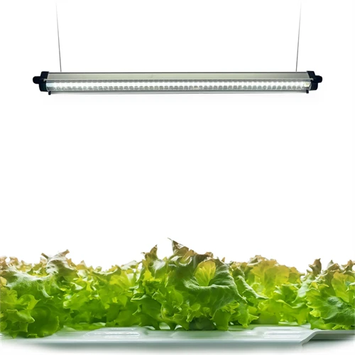 240 LEDs Full Spectrum Plant Grow Light Strips With Auto ON/Off Timer 3/9/12Hrs high quality