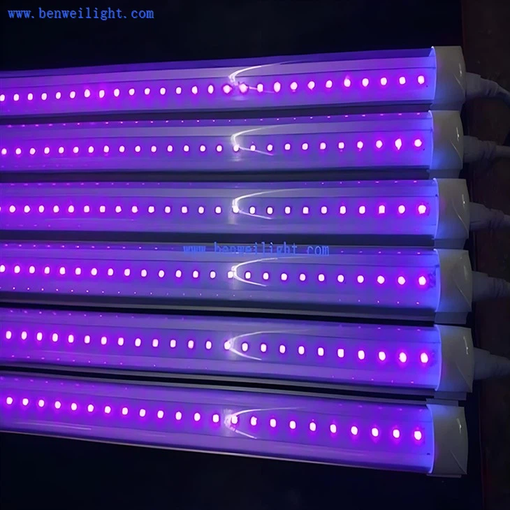 10W UV-LED-T8-Röhrenlicht AC85-265V|395 nm|Vielseitig einsetzbar