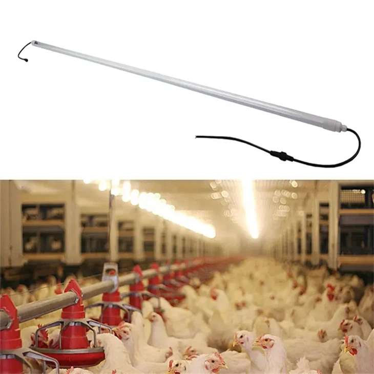 IP65 IP67 Wasserdichte T5 T8 LED Dimmbare Röhre Vollspektrum-Geflügelbeleuchtung