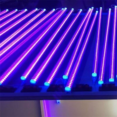 Fluoreszierende UV-Härtungslampe