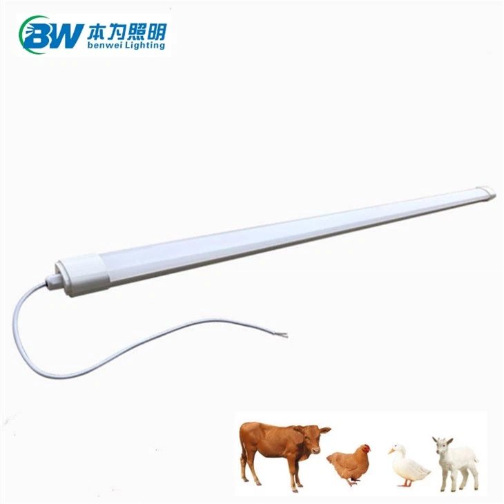 LED-Röhrenleuchten für Geflügel, wasserdicht, dimmbar