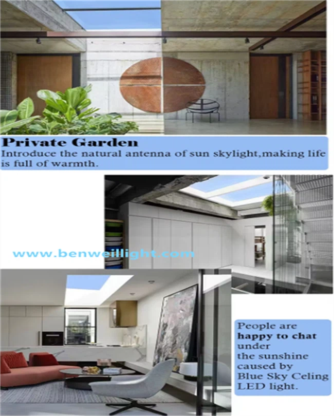product-650-810