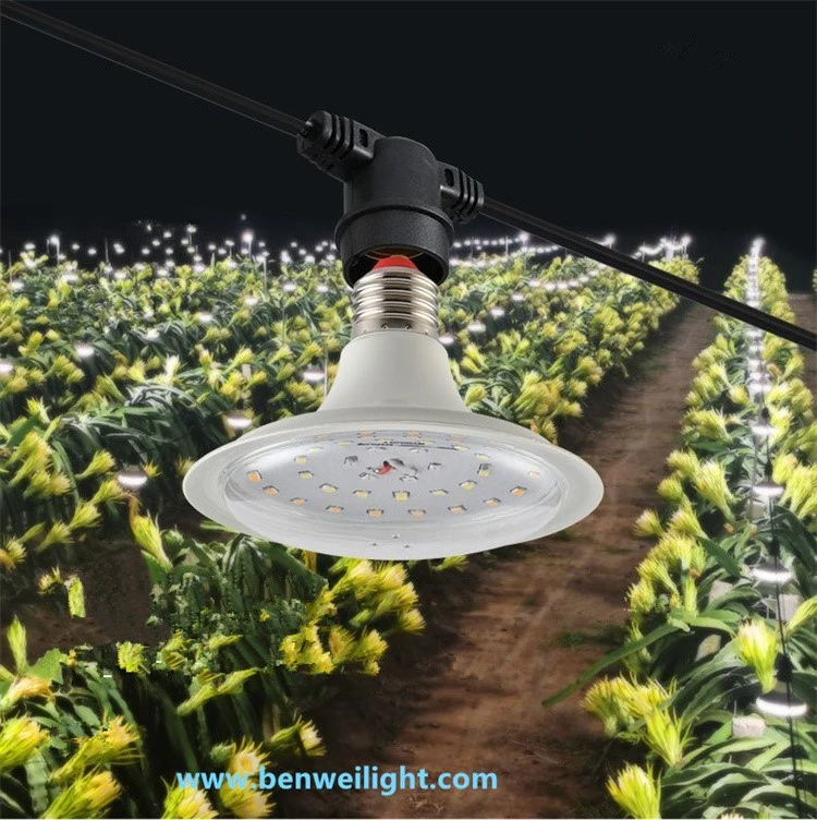product-750-752