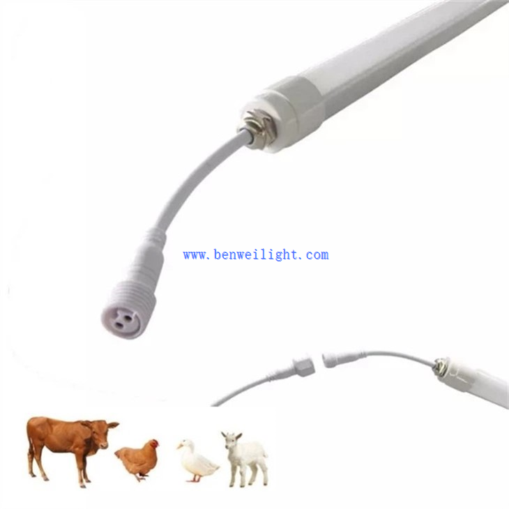 Ranching Lights (1)