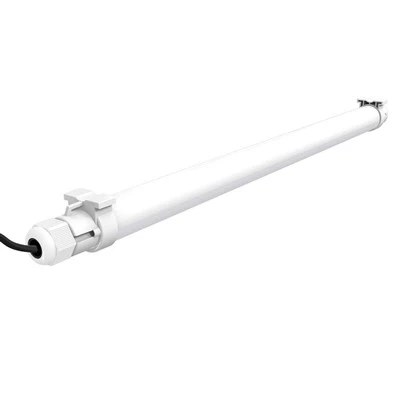 Blaues LED-Licht für Geflügel