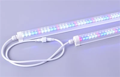 LED-Pflanzenlicht für Gewächshaus